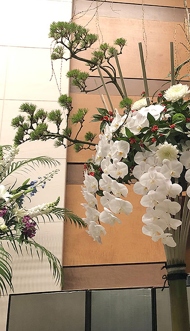 踊り三光松　千両　会場飾り